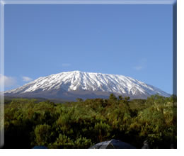 Kilimanjaro 2010 Appeal